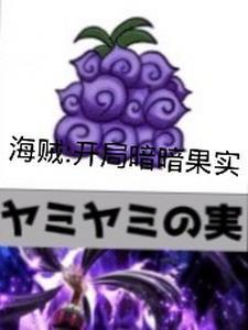 海贼之开局暗暗果实 海贼之开局暗暗果实