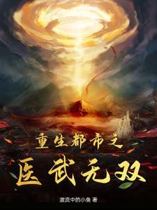 重生都市之医武无双 重生都市之医武无双