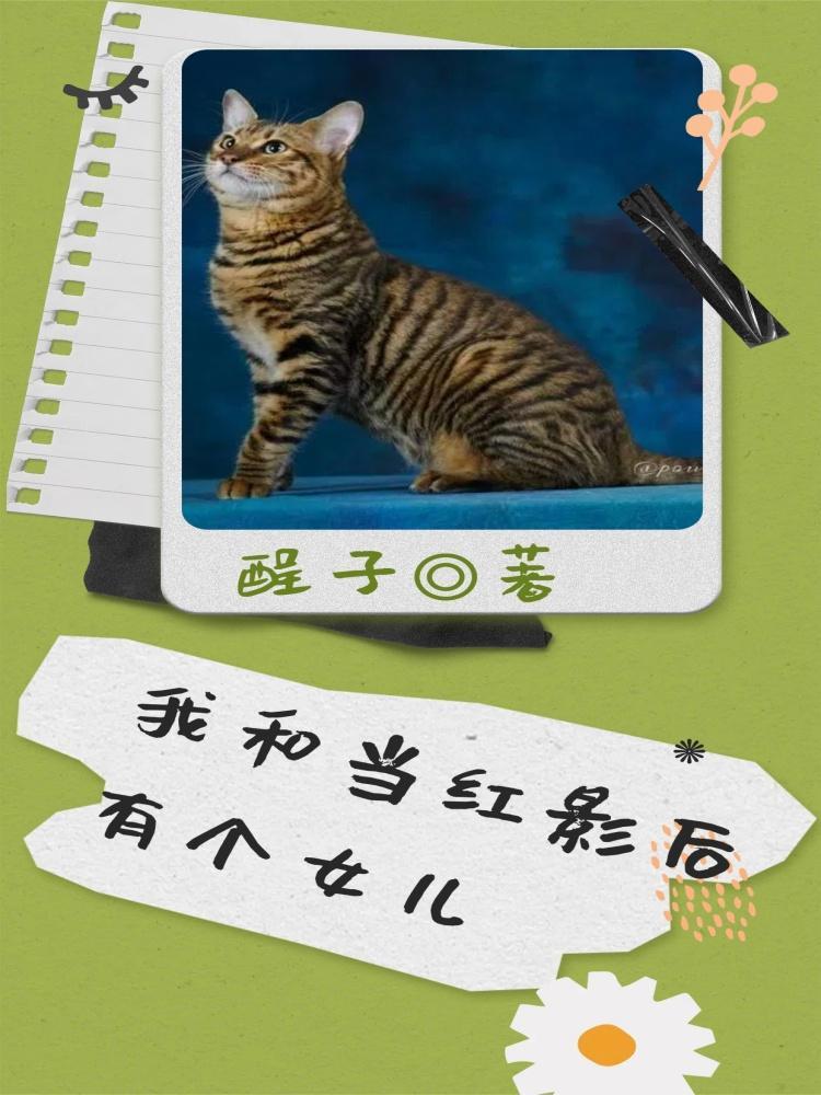 我和当红影后有个女儿 我和当红影后有个女儿