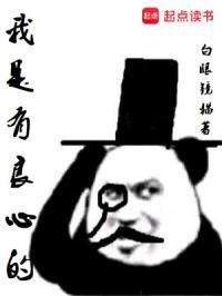 我是有良心的 我是有良心的