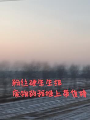 粉丝硬生生把废物的我推上带货榜 粉丝硬生生把废物的我推上带货榜