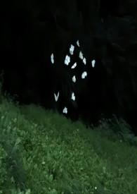 蔚然(兄妹骨科) 蔚然(兄妹骨科)