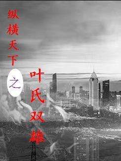 纵横天下之叶氏双雄 纵横天下之叶氏双雄