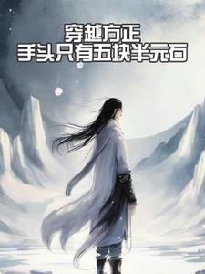 穿越方正,手头只有五块半元石 穿越方正,手头只有五块半元石